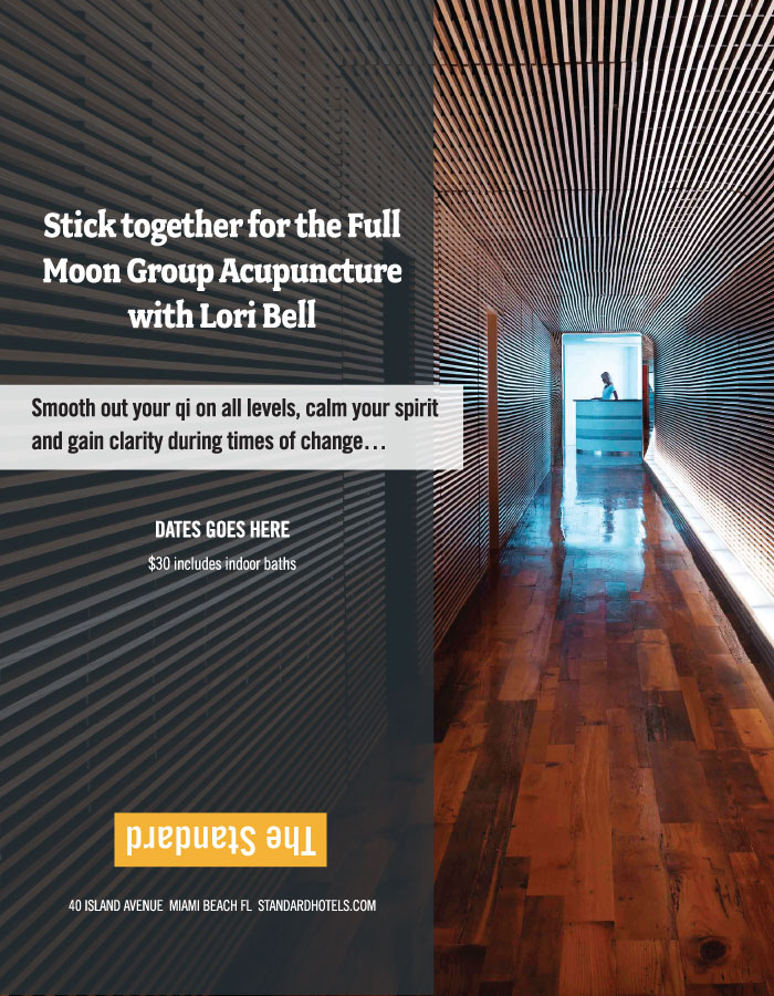 The Standard Hotel & Spa Miami Beach group experience promotional design variation.